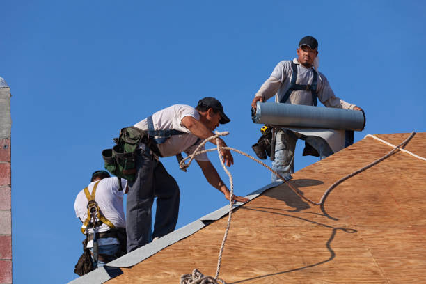 Best Shingle Roofing Installation  in Johnson City, KS