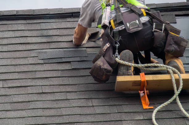 Best Roof Gutter Cleaning  in Johnson City, KS