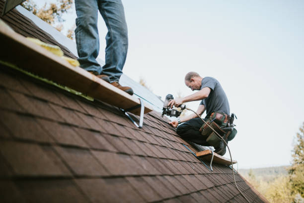 Best Local Roofing Companies  in Johnson City, KS