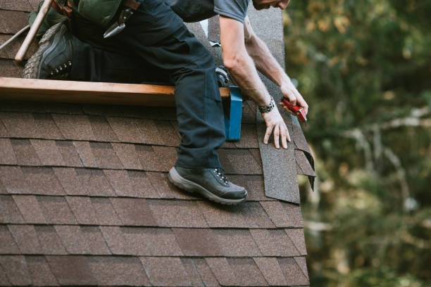 Best Roof Maintenance Services  in Johnson City, KS