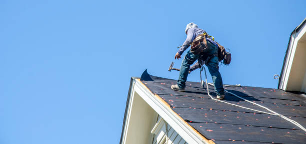 Best Roof Waterproofing Services  in Johnson City, KS